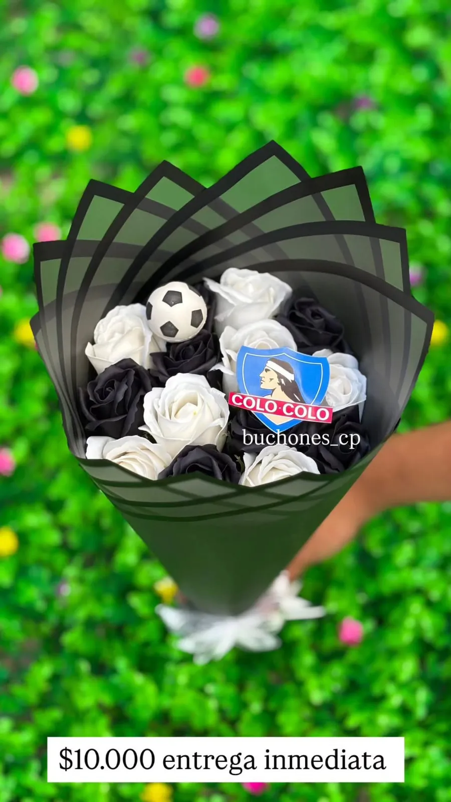 Ramo colo colo