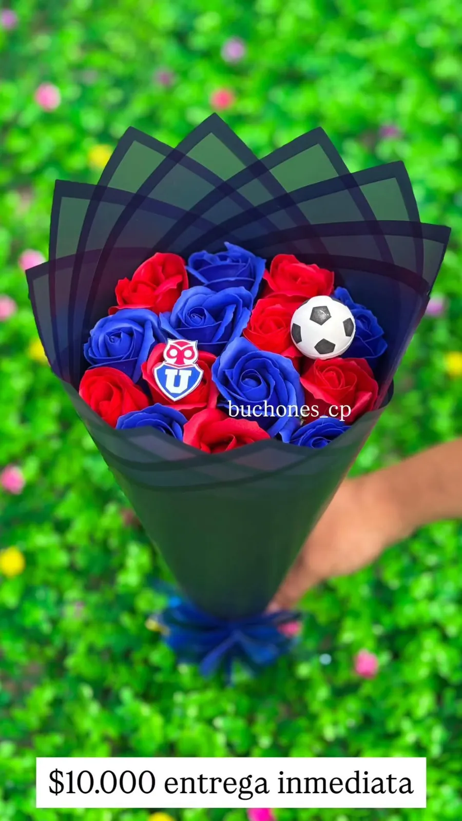 Ramo universidad de chile