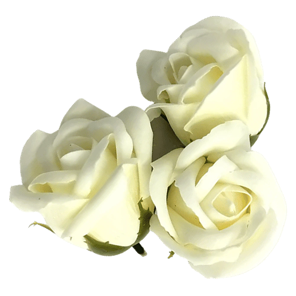 Rosas Premium